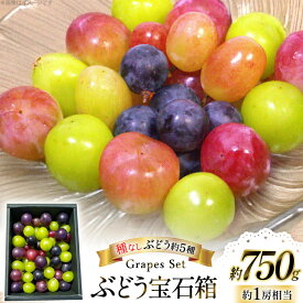【ふるさと納税】 【期間限定発送】 ぶどう 詰め合わせ 種なしぶどうの宝石箱 約5種類 約750g [大野農園 山形県 高畠町 tk06ayt050000] ぶどう ブドウ 葡萄 マスカット 大粒 種なし 農家直送 数量限定 贈答 ギフト 果物 フルーツ くだもの