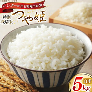 yӂ邳Ɣ[Łz  ߘa7N P}CX^[ ʍ͔| P 5kg [_ R`  tk06ayt120012] 5L  uh ͂    