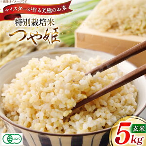 yӂ邳Ɣ[Łz  ߘa7N P}CX^[ ʍ͔| P 5kg [_ R`  tk06ayt120013] 5L  uh ͂  