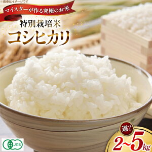 yӂ邳Ɣ[Łz  ߘa7N ʍ͔| RVqJ 2kg or 5kg yL@JASz [R`  _] Ђ  2L 5L uh ͂    