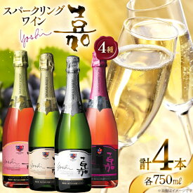 【ふるさと納税】 スパークリング 嘉 スパークリングワイン4本セット 白&ロゼ 辛口&甘口&中甘口セット750ml ×4 高畠ワイン [高畠ワイナリー 山形県 高畠町 tk06ays730086] 辛口 甘口 中甘口 ワイン お酒 酒