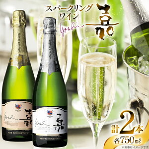 yӂ邳Ɣ[Łz Xp[NO  Xp[NOC h&Ì Zbg 750ml 2{ [tk06ayt180032 R`  cX] h Ì C  