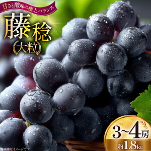 yӂ邳Ɣ[Łz yԌ蔭z s\ Ԃǂ 嗱Ԃǂ  3`4[  1.8kg [HinataԂǂ R`  tk06ayt190010] Ԃǂ uhE  ӂ݂̂ 嗱 Ȃ  ʕ t