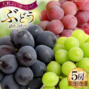 yӂ邳Ɣ[Łz yԌ蔭z Ԃǂ lߍ킹 5[ 3.5kg [HinataԂǂ R`  tk06ayt190004] Ԃǂ uhE  嗱 VC}XJbg sI[l  Rgs[ |NC[