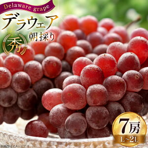 yӂ邳Ɣ[Łz yԌ蔭z Ԃǂ ̂ fEFA G L`2L 7[  1kg [HinataԂǂ R`  tk06ayt190008] 햳 uhE   ʕ t[c Yn _ƒ