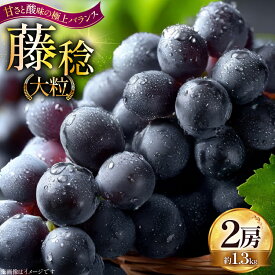 【ふるさと納税】 【期間限定発送】 ぶどう 大粒ぶどう 藤稔 2房 約 1.3kg [Hinataぶどう園 山形県 高畠町 tk06ayt190009] ぶどう ブドウ 葡萄 ふじみのり 大粒 種なし くだもの 果物 フルーツ 産地直送 農家直送