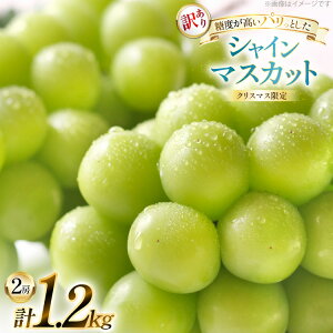 yӂ邳Ɣ[Łz yNX}X܂ł̌蔭z VC}XJbg 󂠂 2[ 1.2kg [tk06ayt230000 R`  c_] Ԃǂ uhE  }XJbg t[c ʕ  Yn 
