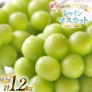 yӂ邳Ɣ[Łz yNX}X܂ł̌蔭z VC}XJbg 󂠂 2`4[ 1.2kg [tk06ayt230002 R`  c_] Ԃǂ uhE  }XJbg t[c ʕ  Yn