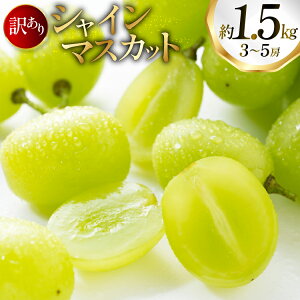 yӂ邳Ɣ[Łz yԌ蔭z VC}XJbg 󂠂 3`5[ 1.5kg [tk06ayt250004 R`  oboco grapes] Ԃǂ uhE  ƒp t[c ʕ  1.5L Â