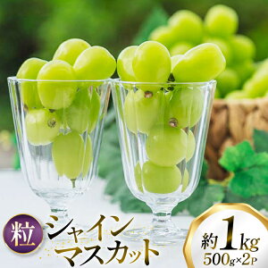 yӂ邳Ɣ[Łz yԌ蔭z VC}XJbg  500g 2pbN  1kg [tk06ayt250005 R`  oboco grapes] Ԃǂ uhE  t[c ʕ  1L Â