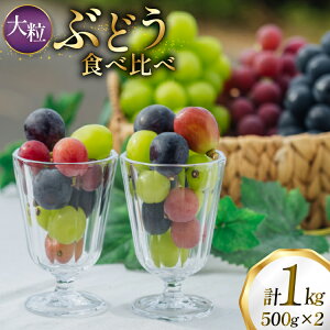 yӂ邳Ɣ[Łz yԌ蔭z Ԃǂ Hה  500g 2pbN  1kg 嗱 [tk06ayt250006 R`  oboco grapes] VC}XJbg sI[l t[c ʕ  Ԃǂ uhE 