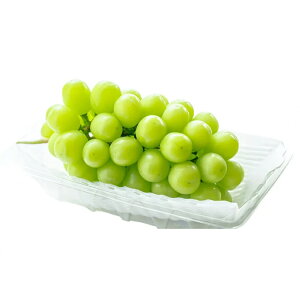 yӂ邳Ɣ[Łz yԌ蔭z VC}XJbg 2kg 3[ [y~X R`  tk06ayt290002] Ԃǂ uhE  }XJbg 嗱 Ȃ ʕ  t[c