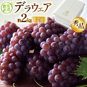 yӂ邳Ɣ[Łz yԌ蔭z fEFA Gi 12[ 2kg [ǉʎ R`  tk06ayt350001] p  햳 uhE  Yn _ƒ t[c ʕ 