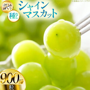 yӂ邳Ɣ[Łz yԌ蔭z VC}XJbg 󂠂  900g [tk06ayt380001 R`  Yamagent[cK[fRg] ƒp Ԃǂ uhE  t[c ʕ  Â