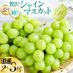 yӂ邳Ɣ[Łz yԌ蔭z VC}XJbg 󂠂 ґ{[ Zbg 2`3[ 1.6kg [tk06ayt380002 R`  Yamagent[cK[fRg] ƒp Ԃǂ uhE  