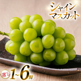 【ふるさと納税】 【期間限定発送】 シャインマスカット 選べる内容量 約650g〜約3kg [山形県 高畠町 いわた果樹園] ぶどう ブドウ 葡萄 フルーツ 果物 くだもの 甘い