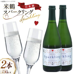 �y�ӂ邳�Ɣ[�Łz���{�� �h�� �X�p�[�N�����O 750ml 2�{ �Z�b�g [�Ēߎ� �R�`�� ������ tk06ays710011] �� ���� �Ì� 750 �W��