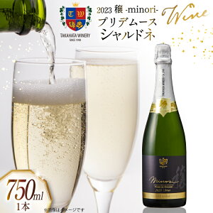 yӂ邳Ɣ[Łz 2023vf[X Vhl 750ml 1{ [Ci[ R`  tk06ays730035] C   Ԃǂ Xp[NOC uhE Y h