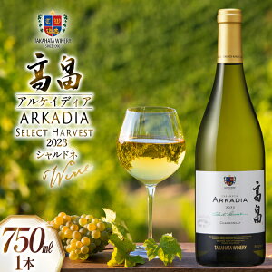 yӂ邳Ɣ[Łz 2023  APCfBA Vhl [Ci[ R`  tk06ays730042] C Wine   C Ci[ C