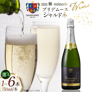 �y�ӂ邳�Ɣ[�Łz�y�I�ׂ���e�ʁz 2023���v���f���[�X �V�����h�l 750ml [�������C�i���[ �R�`�� ������ tk06ays730050] ���C�� ���� �� �Ԃǂ� �X�p�[�N�����O���C�� �u�h�E ���Y �h�� 1�{ 2�{ 3�{ 