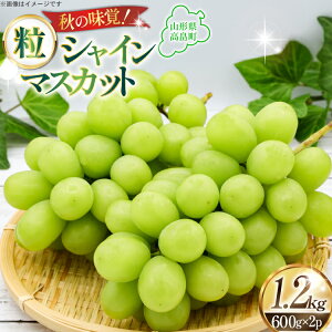 yӂ邳Ɣ[Łz yԌ蔭z VC}XJbg 600g 2pbN 1.2kg [{c_ R`  tk06ays820001] Ԃǂ uhE  }XJbg 嗱   cu Ȃ ʕ  t