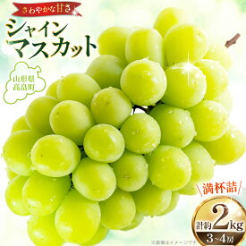 【ふるさと納税】 【期間限定発送】 シャインマスカット 3〜4房 満杯詰め 約2kg [本田農園 山形県 高畠町 tk06ays820002] ぶどう ブドウ 葡萄 マスカット 大粒 粒 つぶ ツブ 種なし 果物 くだもの フルーツ 2キロ 箱入り