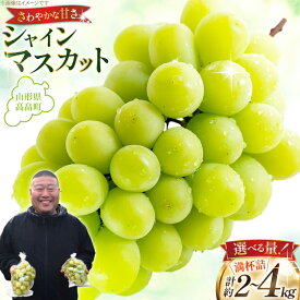 【ふるさと納税】 【期間限定発送】 シャインマスカット 【選べる内容量】 3〜4房 満杯詰め 約 2kg / 6〜8房 満杯詰め 約 4kg [本田農園 山形県 高畠町 tk06ays820006] ぶどう ブドウ 葡萄 マスカット 大粒 粒 つぶ ツブ 種なし 果物 くだもの フルーツ 2キロ 4キロ 箱入り