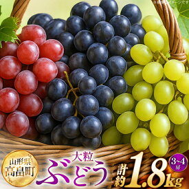 【ふるさと納税】 【期間限定発送】 ぶどう 2～3色 約 1.8kg 詰め合わせ セット [JA山形おきたま 山形県 高畠町 tk06ays870056] シャインマスカット 葡萄 セット ブドウ 巨峰 ピオーネ クイーンニーナ ゴルビー 高尾 蔵王おとめ 大粒 農家直送 朝採れ 食べ比べ 1.8キロ