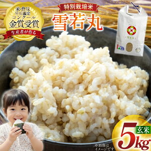 �y�ӂ邳�Ɣ[�Łz �� �ߘa7�N�Y ���� 5kg ���ʍ͔|�� ���� [�_�Ƃ̑��o���Đ��Y�g�� �R�`�� ������ tk06ays900005] �R�� ���� ���͂� ���� �u�����h��