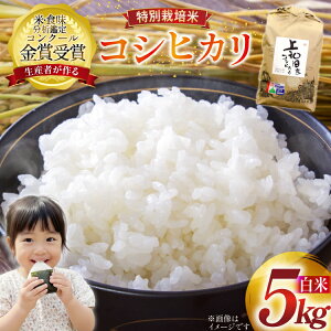 �y�ӂ邳�Ɣ[�Łz �� �ߘa7�N�Y �����Ђ��� �V�������u�a�v 5kg ���ʍ͔|�� ���� [�_�Ƃ̑��o���Đ��Y�g�� �R�`�� ������ tk06ays900026] �R�� ���� ���͂� ���� �u�����h��