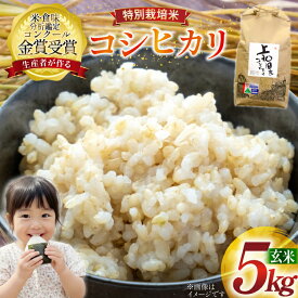 【ふるさと納税】 米 令和7年産 こしひかり 天日乾燥「和」 5kg 特別栽培米 玄米 [農家の蔵出し米生産組合 山形県 高畠町 tk06ays900027] コメ ご飯 ごはん お米 ブランド米