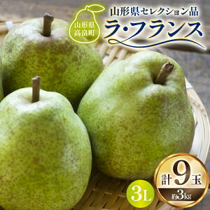 yӂ邳Ɣ[Łz yԌ蔭z EtX R` ZNVi EtX 9 3kg [tk06ays910000 R`  Om] ʕ  t[c mȂ m tX