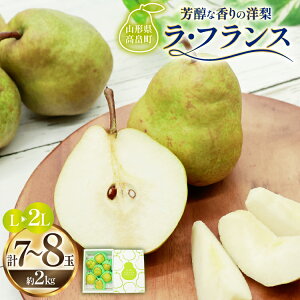 yӂ邳Ɣ[Łz yԌ蔭z EtX Y EtX 7`8 2kg ϔ [Om R`  tk06ays910002] ʕ  t[c mȂ m tX