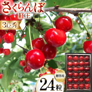 �y�ӂ邳�Ɣ[�Łz �y���Ԍ��蔭���z �T�N�����{ 24�� �G 3L �g�� [���q�_�� �R�`�� ������ tk06ays950004] ���� ���ыl�� ������ �ʕ� �������� �t���[�c �T�N�����{ �ׂɂ��� ���ϔ�