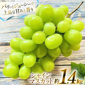 yӂ邳Ɣ[Łz yԌ蔭z VC}XJbg  1.4kg [O̗ R`  tk06ays960004] t[c ʕ  Ԃǂ uhE  1.4L Â