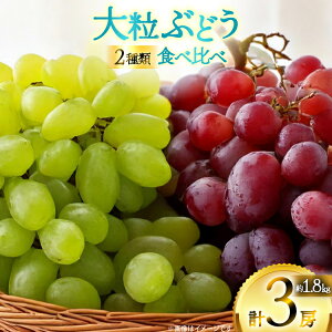 yӂ邳Ɣ[Łz yԌ蔭z sI[l VC}XJbg 2 Hה Zbg 1.8kg [la R`  tk06ayt020006] Ԃǂ uhE  }XJbg 嗱 Ȃ ʕ t[c