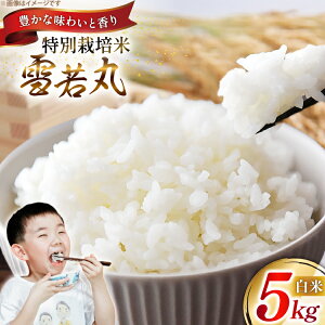 yӂ邳Ɣ[Łz  ߘa7N ʍ͔|  5kg [_ R`  tk06ayt120000] 5L  uh ͂    