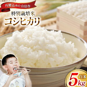 yӂ邳Ɣ[Łz  ߘa7N ʍ͔| RVqJ 5kg [_ R`  tk06ayt120001] Ђ 5L  uh ͂    