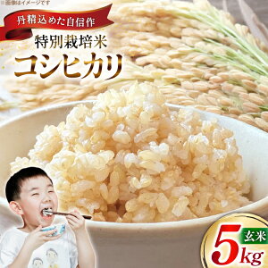 yӂ邳Ɣ[Łz  ߘa7N ʍ͔| RVqJ 5kg [_ R`  tk06ayt120002] Ђ 5L  uh ͂  