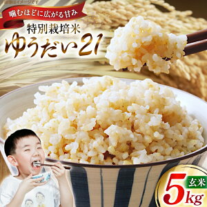 yӂ邳Ɣ[Łz ߘa7N ʍ͔| 䂤21 5kg [_ R`  tk06ayt120008] 5L  uh ͂  