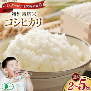 yӂ邳Ɣ[Łz  ߘa7N ʍ͔| RVqJ 2kg or 5kg yL@JASz [R`  _] Ђ  2L 5L uh ͂    