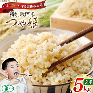 yӂ邳Ɣ[Łz  ߘa7N P}CX^[ ʍ͔| P 5kg [_ R`  tk06ayt120013] 5L  uh ͂  