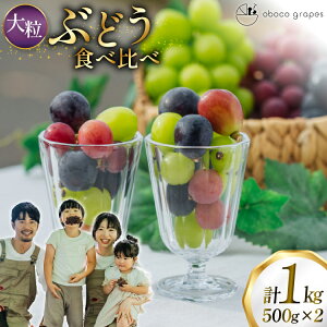 �y�ӂ邳�Ɣ[�Łz �y���Ԍ��蔭���z �Ԃǂ� �H�ה�� �� 500g 2�p�b�N �� 1kg �嗱 [oboco grapes �R�`�� ������ tk06ayt250006] �V���C���}�X�J�b�g �s�I�[�l �t���[�c �ʕ� �������� �Ԃǂ� �u�h�E �Z