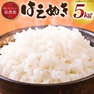 yӂ邳Ɣ[Łz  ߘa6NY ͂ʂ  5kg [y~X R`  tk06ayt290006]  R  ͂  uh