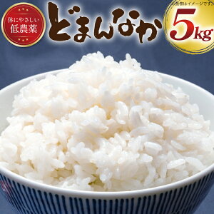 yӂ邳Ɣ[Łz  ߘa6NY ǂ܂Ȃ  5kg [y~X R`  tk06ayt290007]  R  ͂  uh