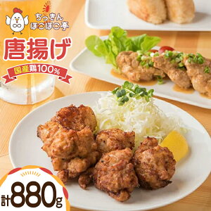 yӂ邳Ɣ[Łz yY{100gpz g Ⓚ { 880g [tk06ayt310000 R`  قق] 炠 g 傤 W y y Y { {  ȒP 
