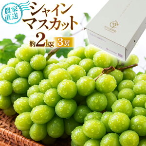 yӂ邳Ɣ[Łz yԌ蔭z VC}XJbg 3[ 2kg [ǉʎ R`  tk06ayt350004] Ԃǂ uhE  }XJbg 嗱 Ȃ   ʕ t[c Hʎ Y