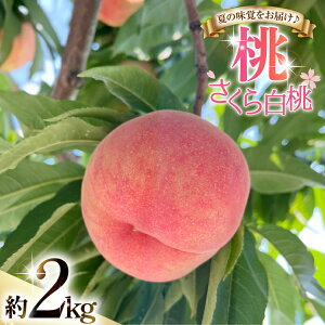 �y�ӂ邳�Ɣ[�Łz �y���Ԍ��蔭���z �� ������ ���� 2kg [����_�� �R�`�� ������ tk06ayt370001] ���� ���� �ʕ� �������� �t���[�c �①