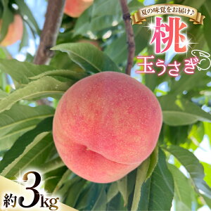 �y�ӂ邳�Ɣ[�Łz �y���Ԍ��蔭���z �� �ʂ����� 3kg [����_�� �R�`�� ������ tk06ayt370002] ���� ���� �ʕ� �������� �t���[�c �①