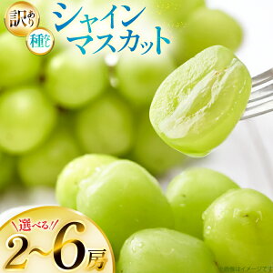 yӂ邳Ɣ[Łz yԌ蔭z VC}XJbg 󂠂 Iׂ e 1.2kg`2.4kg [R`  Yamagent[cK[fRg] ƒp Ԃǂ uhE  t[c ʕ 